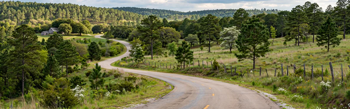 Unforgettable Road Trips from Henderson, TX: Exploring the Beauty Beyond